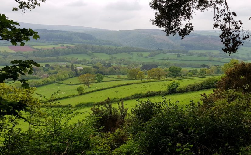 20180516 Minehead – Porlock Weir