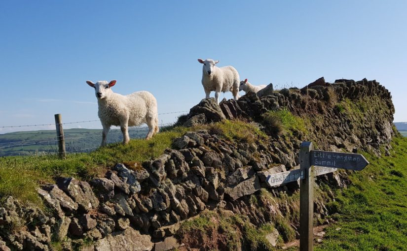 20180518 Lynmouth – Combe Martin