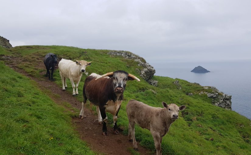 20180530 Port Isaac – Padstow