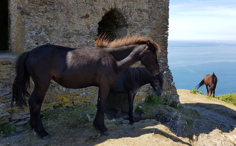 20180625 Portwrinkle – Plymouth